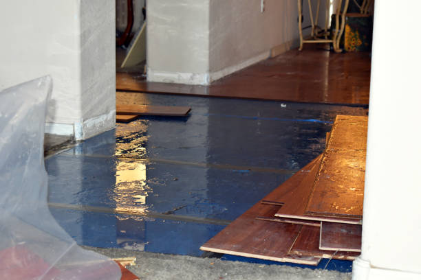 Professional Emergency Water Damage Restoration technician working in Harleysville, PA